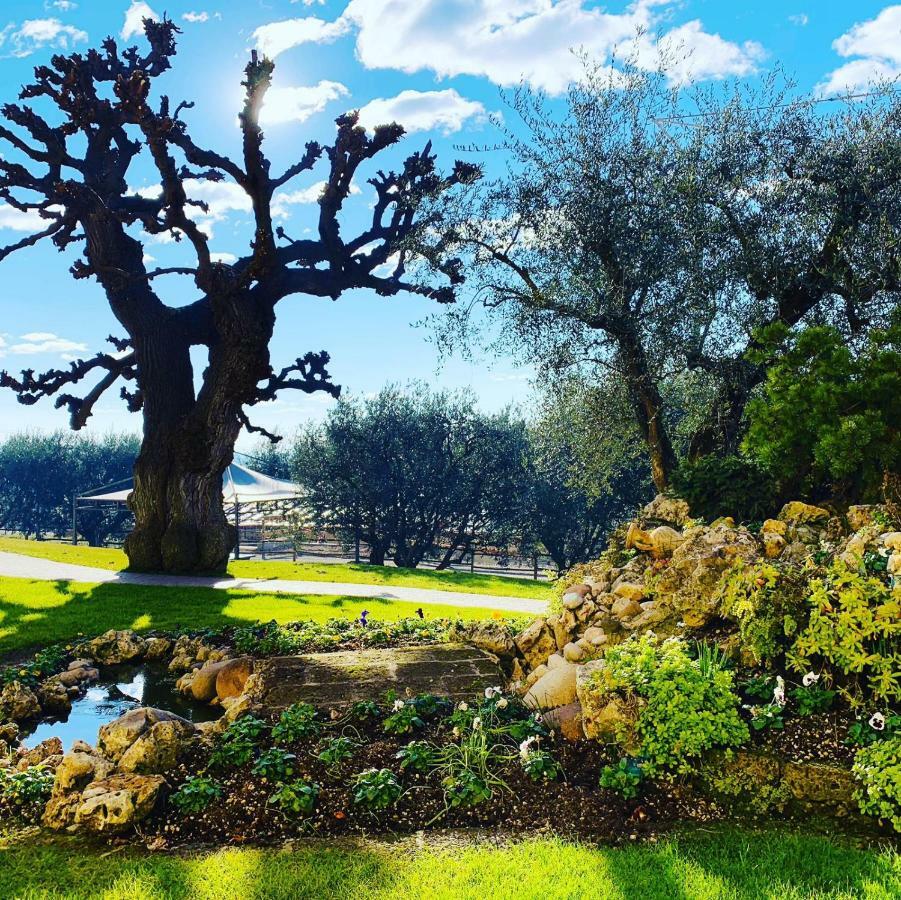 Agriturismo Le Tese 콜라 외부 사진